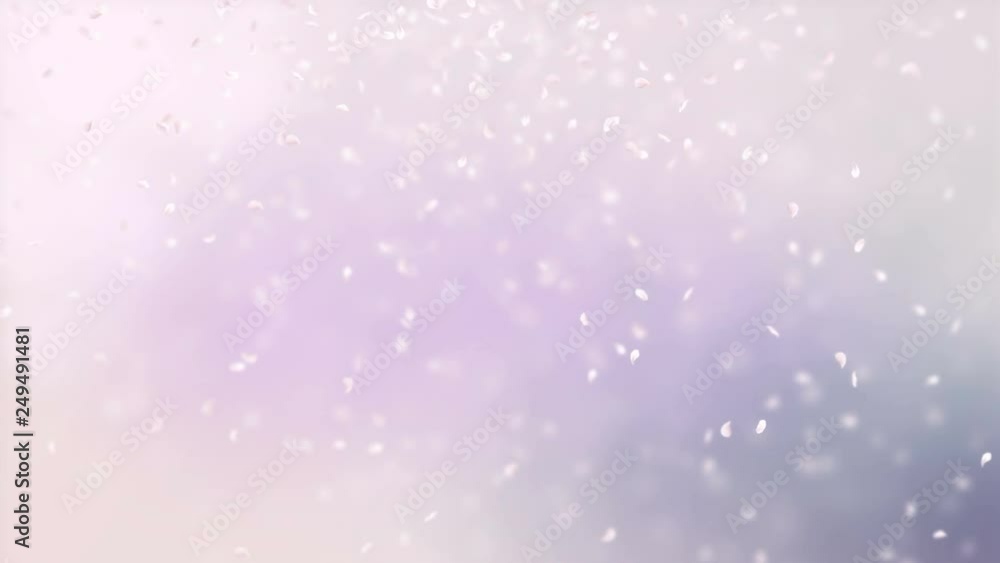 Pink petals of sakura falling on romantic elegant abstract background. Looped 4K motion spring blossom graphic. Pink petals of sakura falling on romantic elegant abstract background. Looped 4K motion spring blossom graphic.