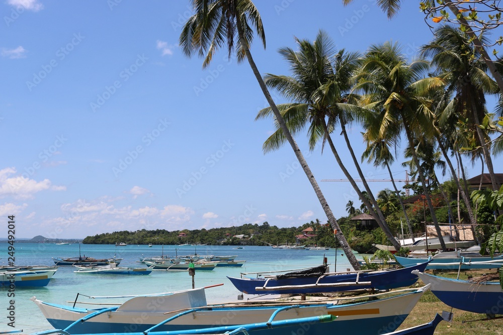 Fishing boats near the sea, near the beach where palm trees grow
