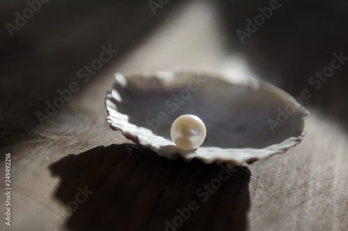 a lit pearl lies on the edge of the shell