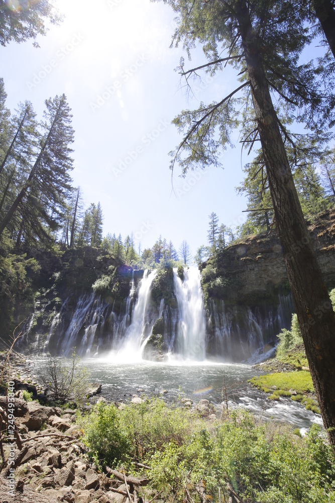 アメリカの滝と森