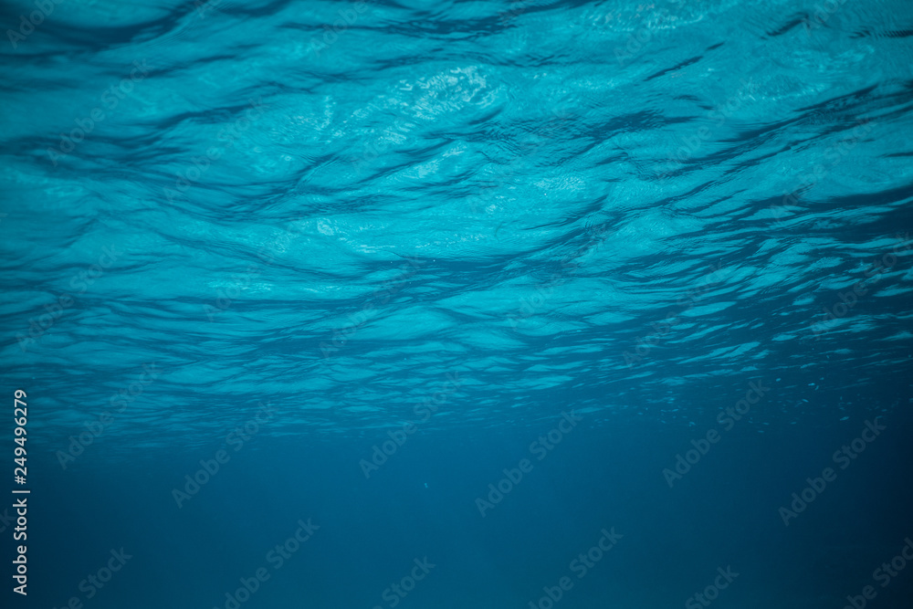 school of fish underwater, Huge school of fusiliers on a tropical coral reef in the Mallorca school of fish underwater, Huge school of fusiliers on a tropical coral reef in the Mallorca
