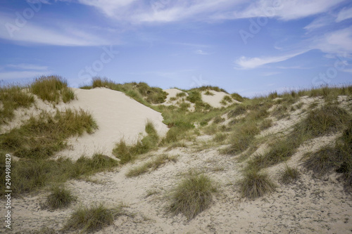 Coast dunes beach sea  Sea grass sways in the Mallorca Beach ocean breeze.