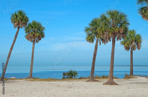 Tropical beach of southwestern USA