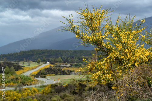 Fjordland Te Anau. Road to Milfird Sound New Zealand photo