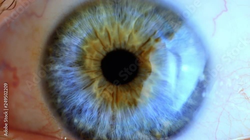 Human eye iris contracting. Extreme close up. photo