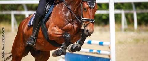 Fotografia, Obraz Horse over the jump, close-up of the angled front legs..