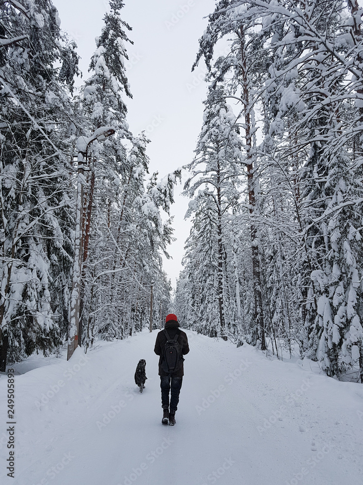 a man with a dog walking in the winter forest