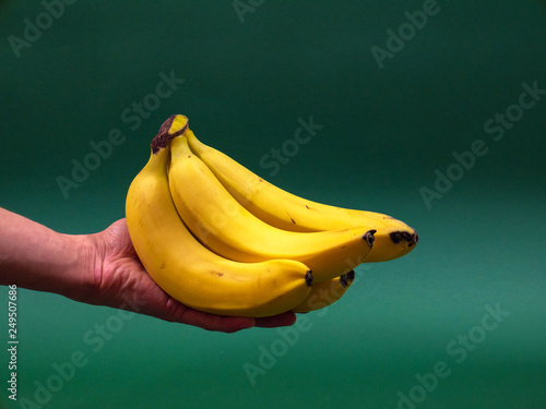 bunch of yellow bananas in hand on green background