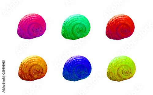 Low poli shell set different colors, geometric shape of triangles. Vector.