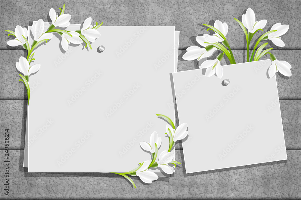 Relief board with photo and place for inscription. Template for the inscription with snowdrop flowers. Spring frame. Inspiration board. Mockup with blooming flowers Relief board with photo and place for inscription. Template for the inscription with snowdrop flowers. Spring frame. Inspiration board. Mockup with blooming flowers