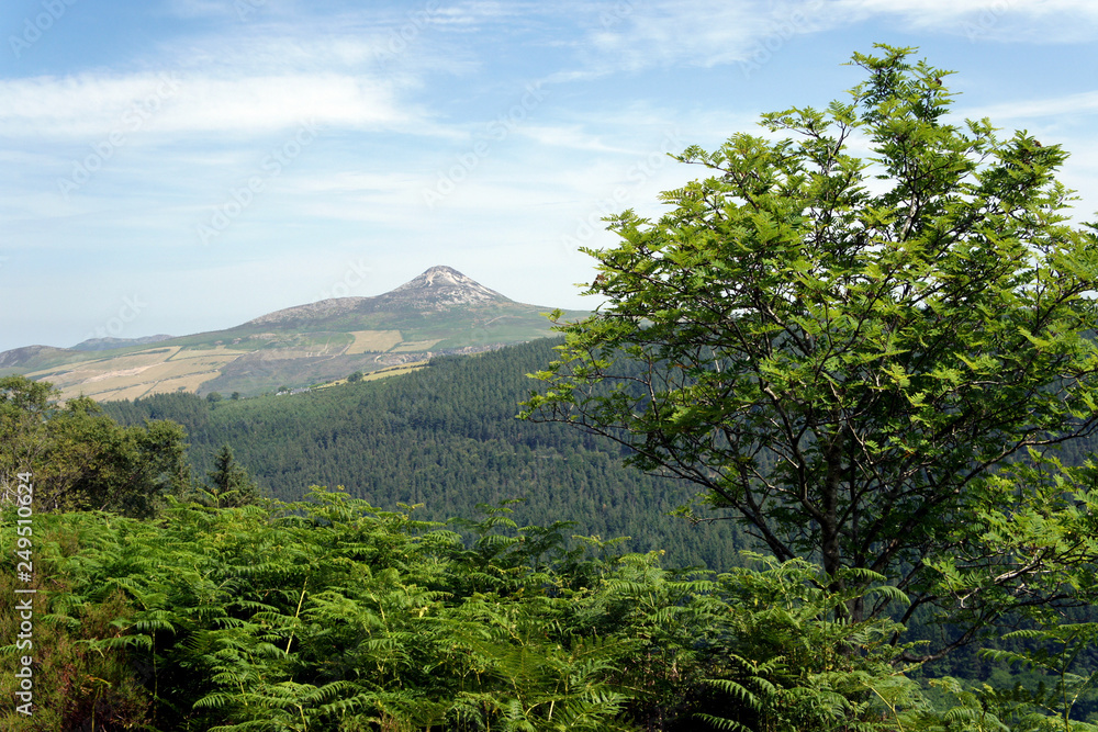 Landscapes of Ireland.Great Sugar Loaf Mountain.