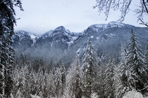 Wallpaper Mural mountain Torontodigital.ca