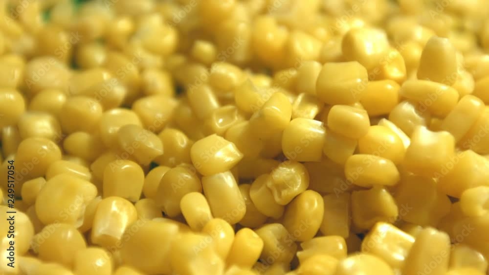 Canned corn kernels. 2 Shots. Slow motion. 1. Canned corn kernels fall down (from up to down). Horizontal (from right to left) pan. 2. Horizontal (from right to left) pan. Canned corn kernels. 2 Shots. Slow motion. 1. Canned corn kernels fall down (from up to down). Horizontal (from right to left) pan. 2. Horizontal (from right to left) pan.
