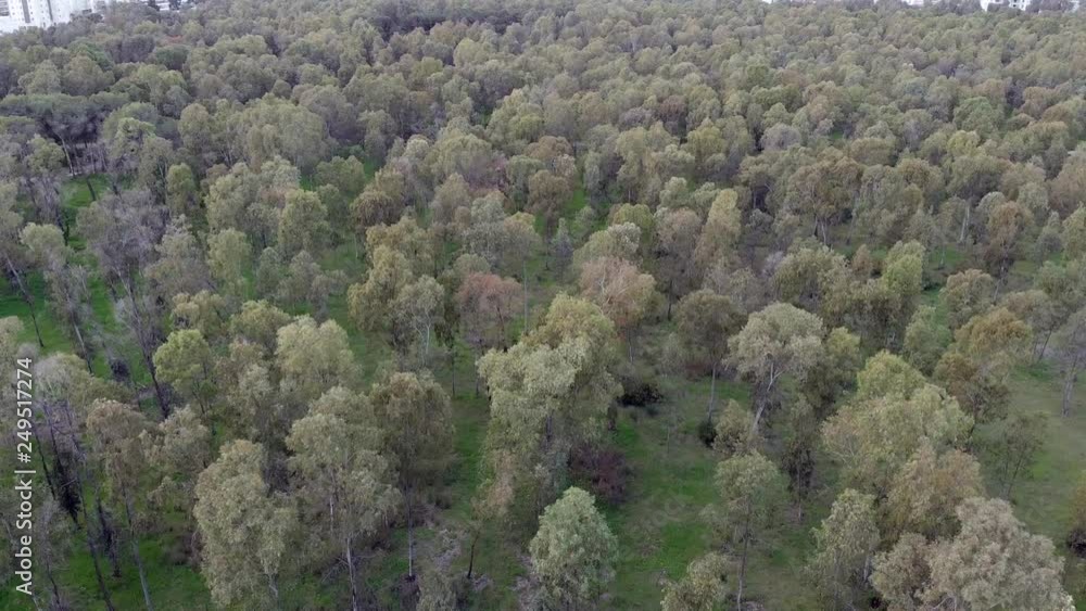 Aerial top Bird View of forest in Israel, Netanya Aerial top Bird View of forest in Israel, Netanya