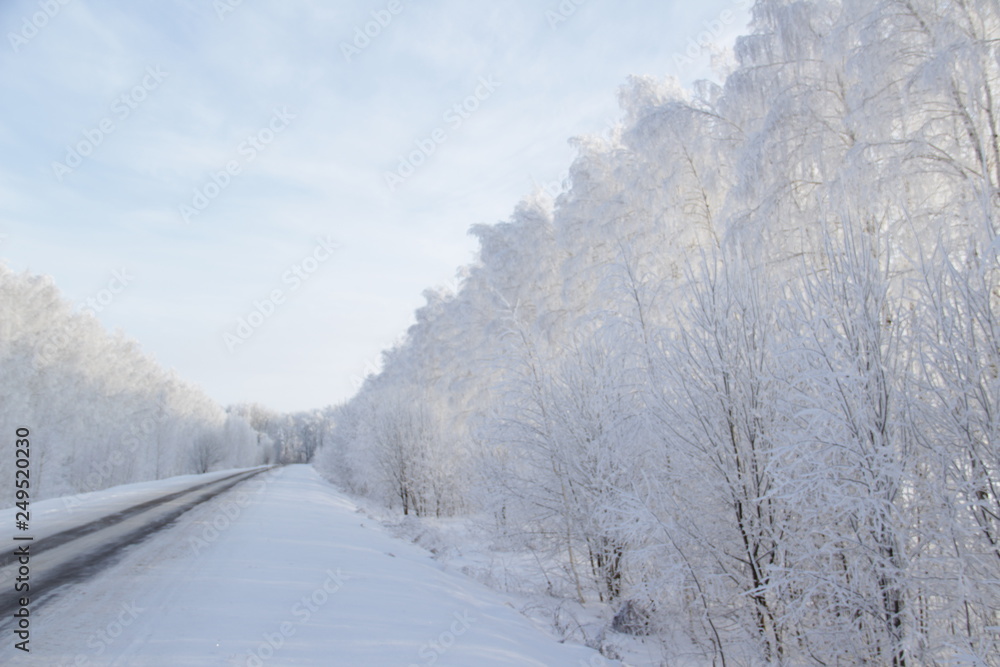 Obraz premium winter road