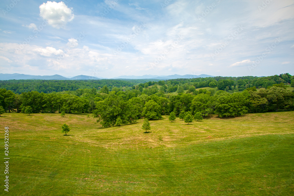 Freshly mowed field with forst and distant mountains in background under bright blue sky Freshly mowed field with forst and distant mountains in background under bright blue sky