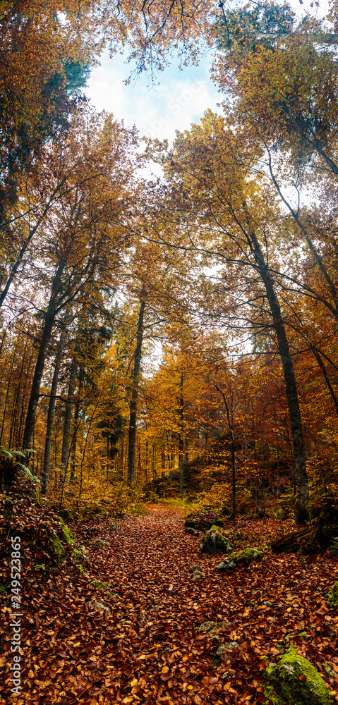 Obraz premium trekking path in an autumn day in the alps
