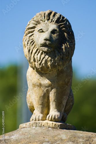 Lion statue on a sunny day © Iain Macdonald
