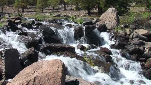 Pinetop Stream and Pines-zoom photo