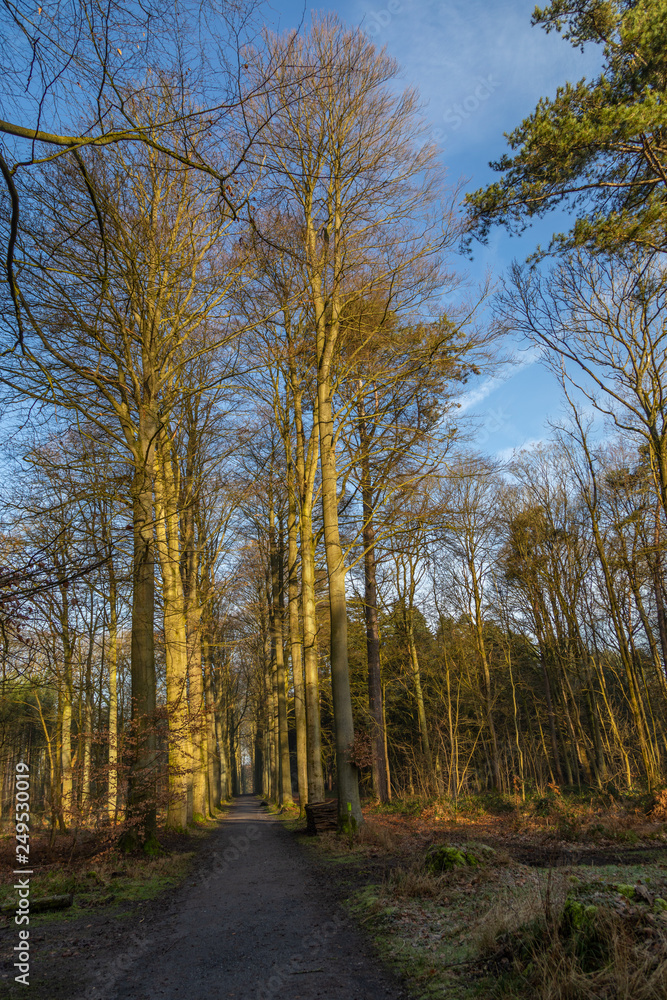 Obraz premium Nature