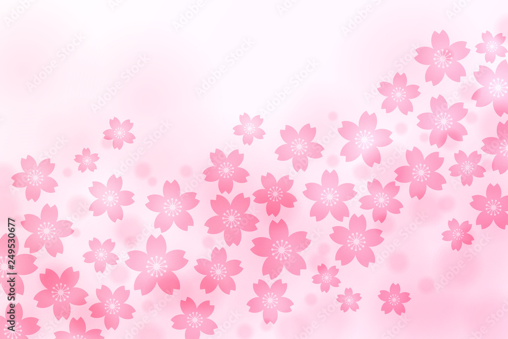 Cherry Blossom, Pink Background, Spring Image, Cherry Blossom, Pink Background, Spring Image,