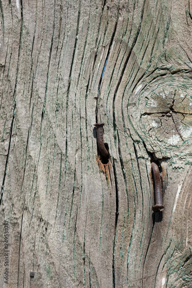 Old wooden saw cut with paint residues and rusty nails