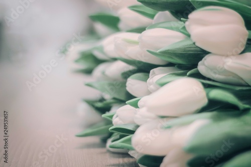 white tulips on the table