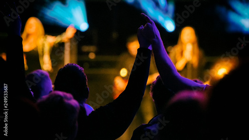 concert with people hands up