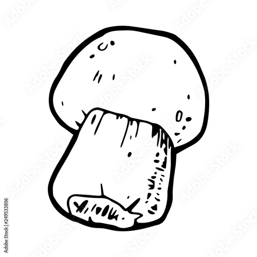 Champignon bolete icon hand-drawn