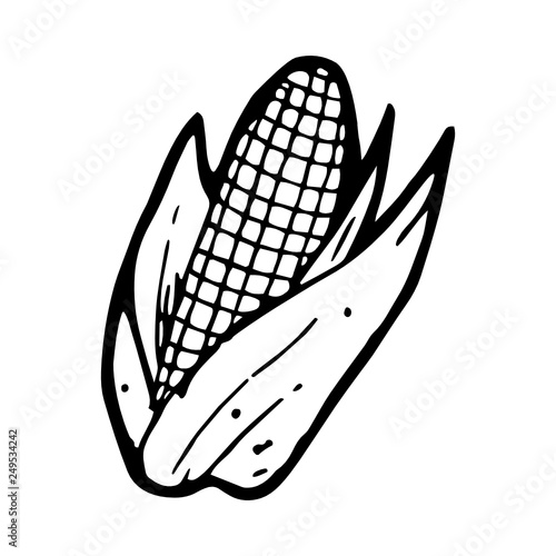 Corn icon hand-drawn