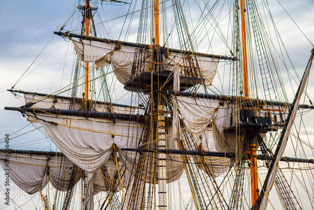 Obraz premium L'Hermionne