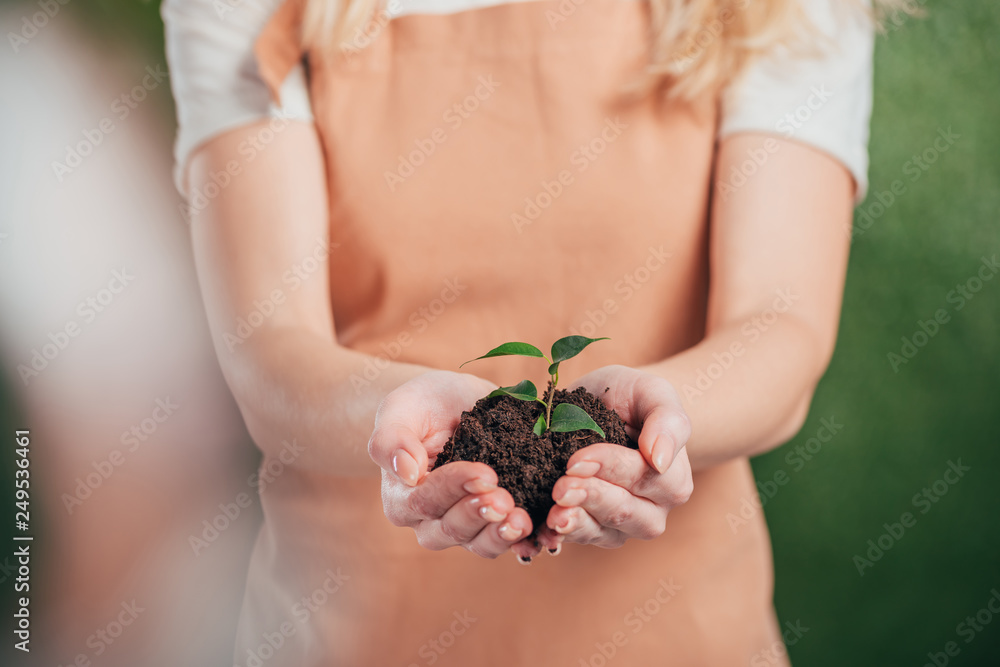 selective focus of woman holding young green plant on blurred background, earth day concept selective focus of woman holding young green plant on blurred background, earth day concept