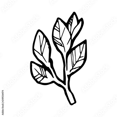 Laurel icon hand-drawn