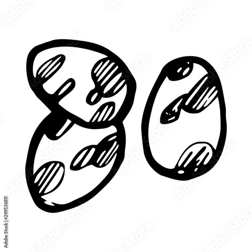 Quail eggs icon hand-drawn