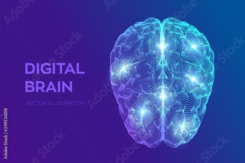 Brain. Digital brain. 3D Science and Technology concept. Neural network. IQ testing, artificial intelligence virtual emulation science technology. Brainstorm think idea. Vector illustration.