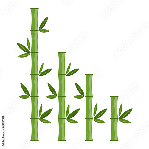 Green bamboo branches and leaves. Vector illustration.