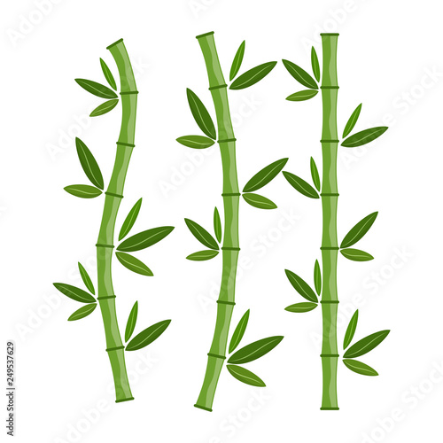 Fototapeta Naklejka Na Ścianę i Meble -  Green bamboo branches and leaves. Vector illustration.