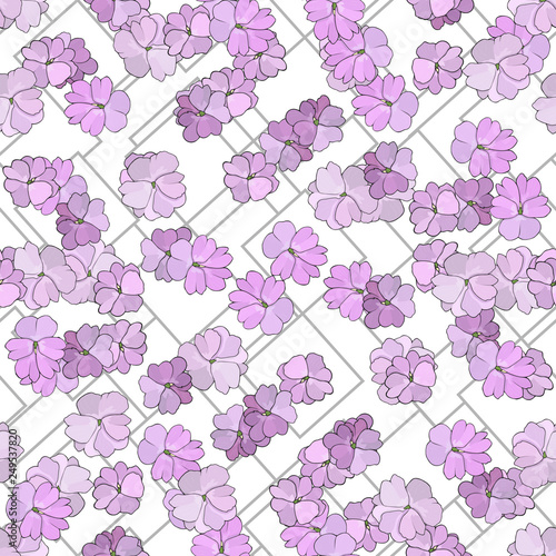 Geometric floral seamless pattern with bright small hand drawn violet flowers and geometry lines on white background. Plant endles texture. Summer textile print.  photo