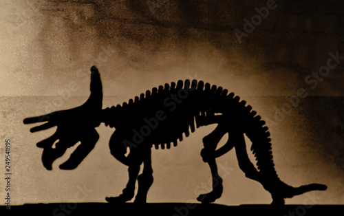 stylized shadow of a dinosaur skeleton on a rough surface
