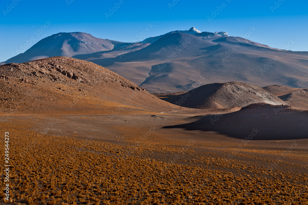 Couple walking in Piedras Rojas (Red Rocks), Deserto do Atacama (Atacama Desert), Chile Couple walking in Piedras Rojas (Red Rocks), Deserto do Atacama (Atacama Desert), Chile
