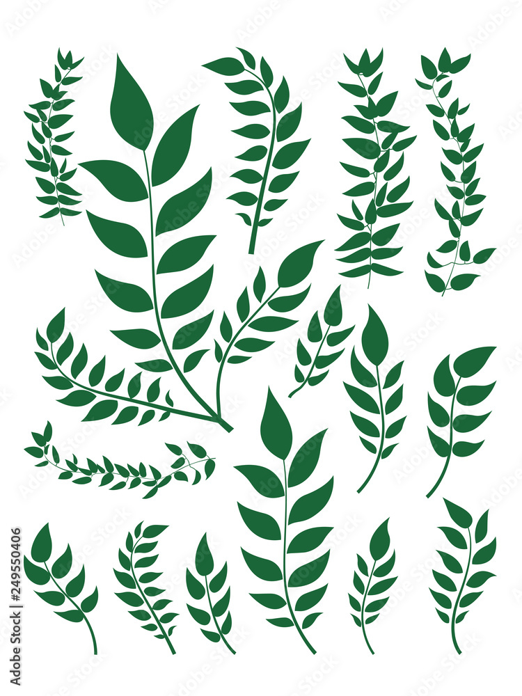 Plant leaf set Plant leaf set
