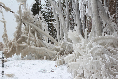 Ice landscape after winter storm