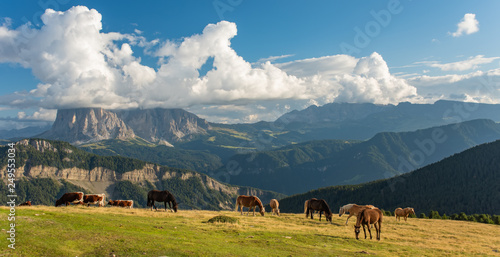 Fototapeta Naklejka Na Ścianę i Meble -  Horse over Dolomite landscape Geisler or Odle mountain Dolomites Group, Val di Funes, tourist region of Italy