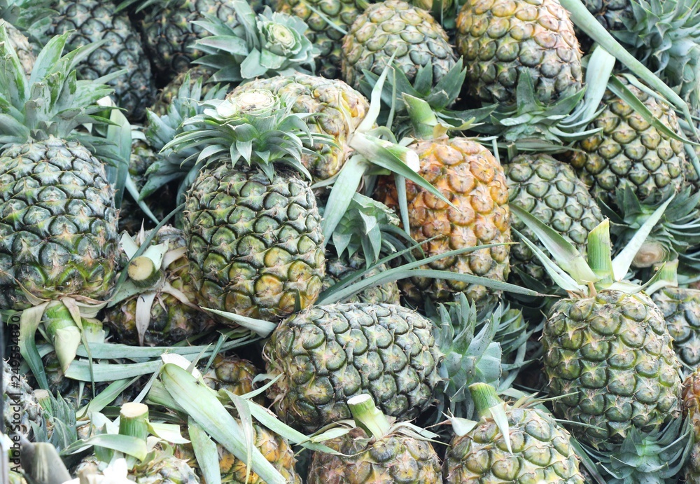 Fresh pineapple is delicious in street food Fresh pineapple is delicious in street food