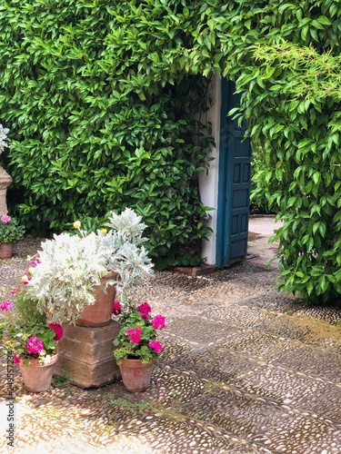 Viana cordoba andalucia españa 