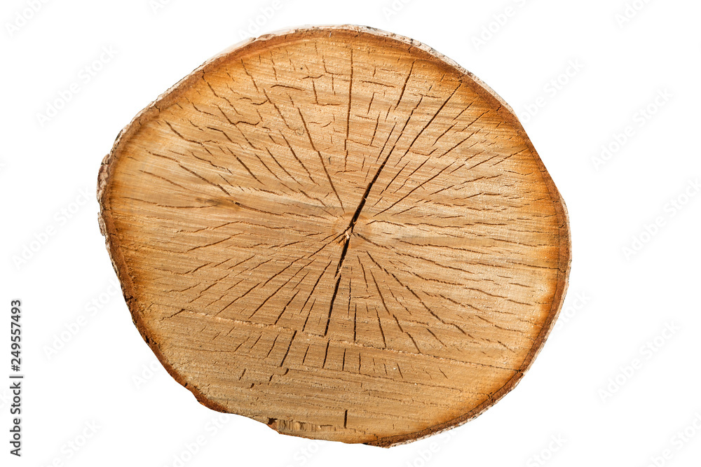 A pile of logs prepared and stored in bulk. The cut texture is the cracked wood. A pile of logs prepared and stored in bulk. The cut texture is the cracked wood.