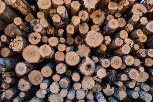 A pile of logs prepared and stored in bulk. The cut texture is the cracked wood.