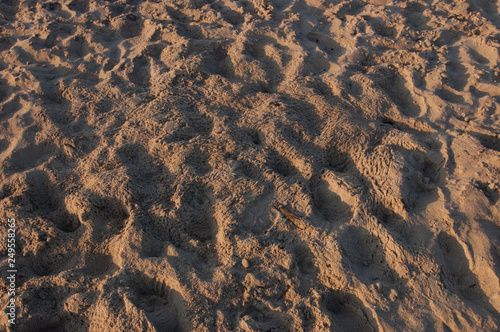 Sand mit Krebsspuren, Detail