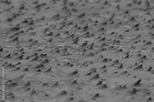 Winderosion am Sandstrand photo