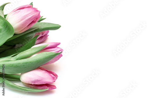 Fototapeta Naklejka Na Ścianę i Meble -  Bouquet of spring flowers, pink tulips on white background - holiday card for 8 march, Valentine day or mother's day with copy space